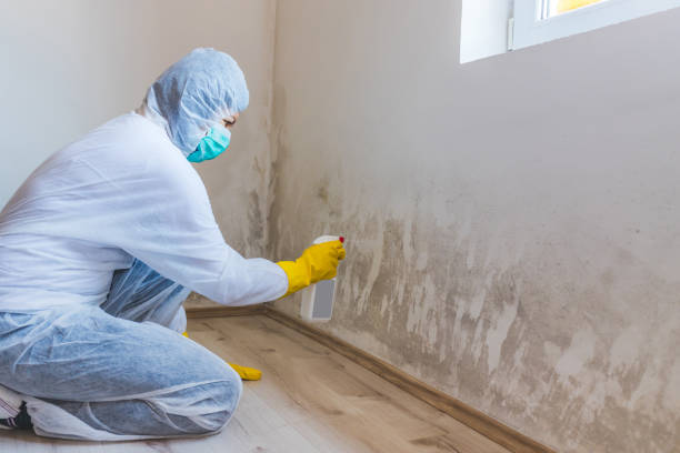 Licensed Mold Testing service in Onancock, VA - WQB Mold Removal