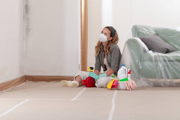 Reliable Mold Testing contractor in Onancock, VA by WQB Mold Removal